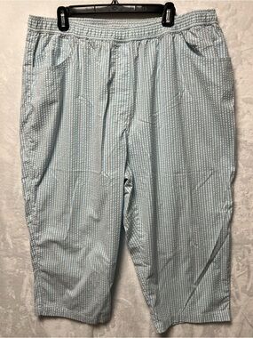 Quacker Factory Womens Capri Pants Size 2X Blue & White Striped Elastic Waist